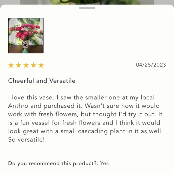 Papillon Vase - Picture 8 of 8